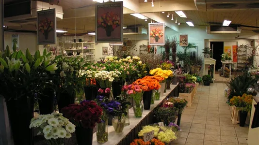 Boligudlejningsejendomme til salg i Viborg - billede 7